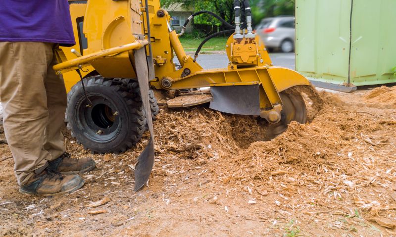 Commercial Stump Grinding in Waldorf, MD