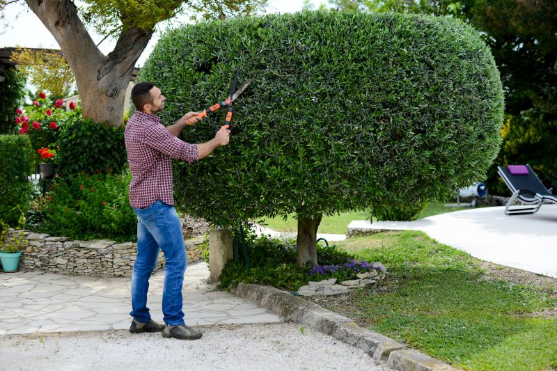 Landscape Pruning Service in Aiken, SC