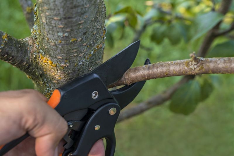 Tree Trimming Precision