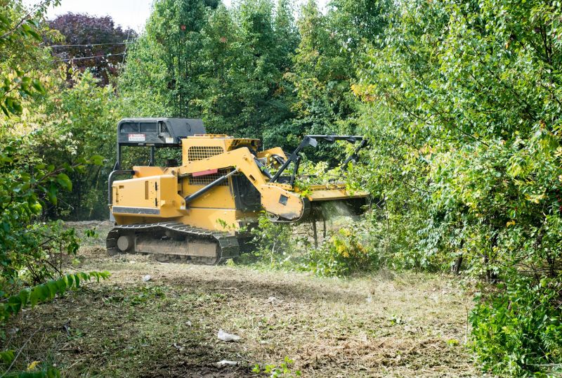 Residential Tree Service